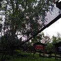 PARK LINOWY (18)